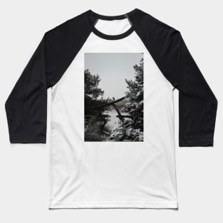 Snowy Heron Perched on Log - Assateague, VA Baseball T-Shirt